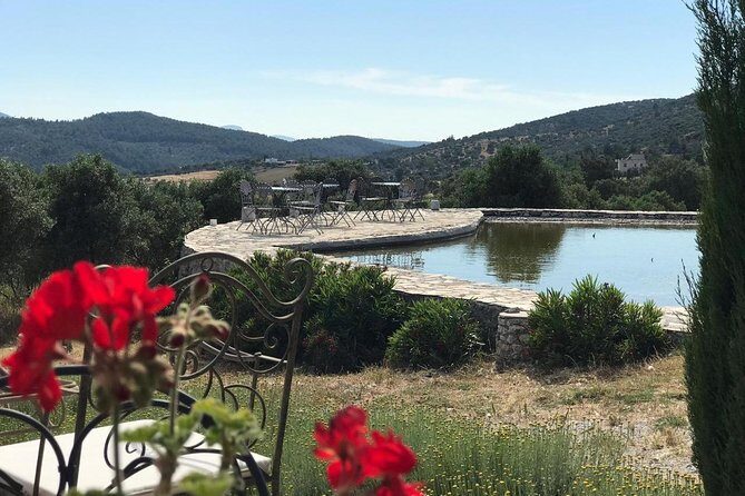 Food and Wine pairing Dinner at Karnas Vineyards Bodrum - Practical Considerations