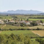 Food and Wine Small Group Tour from Barcelona - Maximum 8 people - Who Should Consider This Tour?