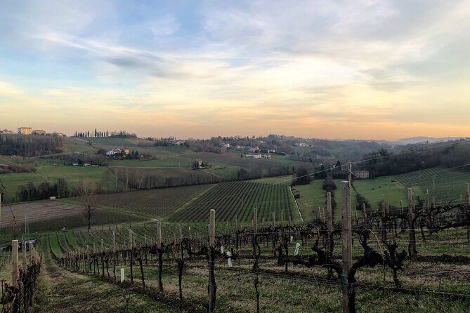 Food and Wine Tour on the Prosecco Hills from Venice - Frequently Asked Questions