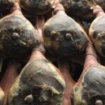 Food Excellences:Prosciutto, Parmigiano, Balsamic,Lunch,Transport - What Reviewers Say