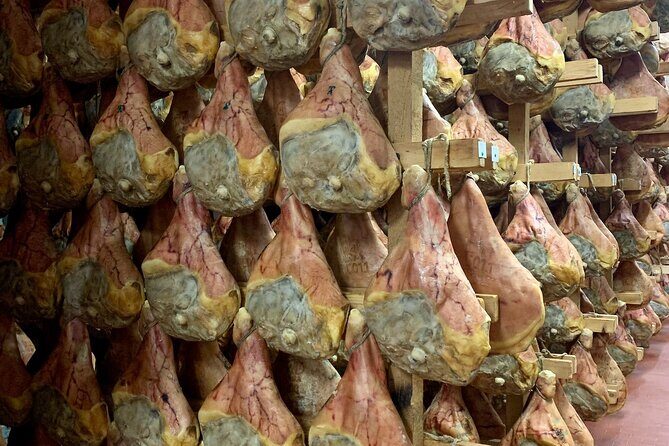 Food Valley: Parmesan, Prosciutto, Balsamic,Wine,Ferrari Day Tour - Balsamic Vinegar: The Black Gold of Modena