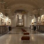 FOR CRUISERS: PRIVATE EPHESUS TOUR INCLUDES ENTRY FEES & Lunch - Who Will Love This Tour?