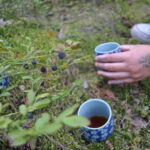 Forest Bathing in Stockholm nature with certified guide - Final Thoughts