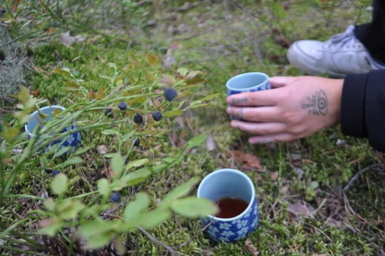 Forest Bathing in Stockholm nature with certified guide - Final Thoughts