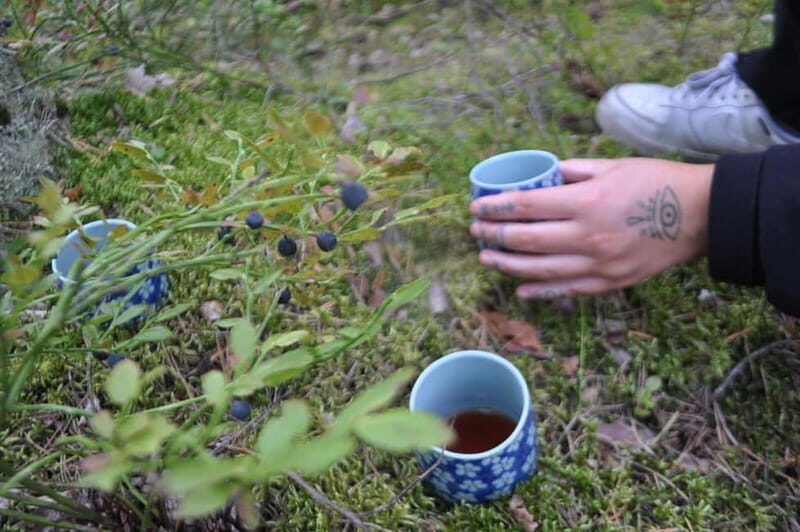 Forest Bathing in Stockholm nature with certified guide - Final Thoughts