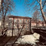 Forest, Castle & Fiskars Village Day Trip from Helsinki - Practical Details & What It Means for You