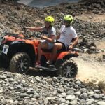 Forest Quad Trip in South Tenerife - Who Will Love This Tour?