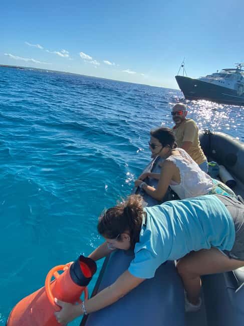 Formentera: 2-hour snorkel with marine biologist by boat - FAQs