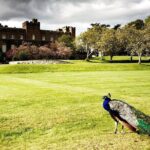 Four Cities, One Day: Explore St. Andrews, Dundee, Perth & More - Who Should Book This Tour?