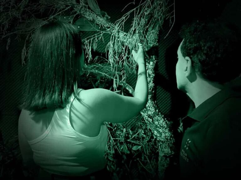 FOUR SENSES: The Immersive Experience in the Dark - Faro - Why This Experience Is Worth It