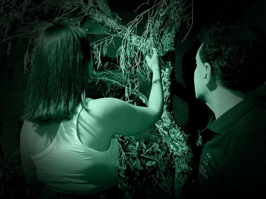 FOUR SENSES: The Immersive Experience in the Dark - Faro - Why This Experience Is Worth It