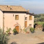 Frascati Day Tour: Road from Rome with Wine Tasting & Lunch - What Reviewers Say