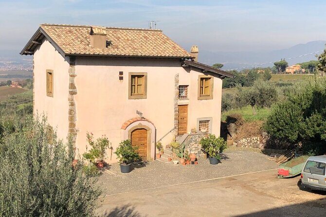 Frascati Day Tour: Road from Rome with Wine Tasting & Lunch - What Reviewers Say