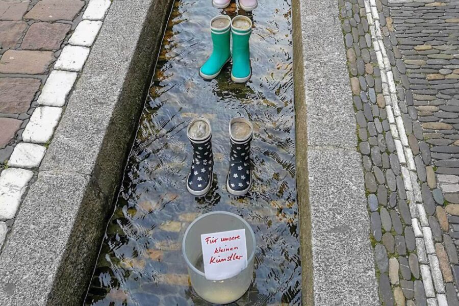 Freiburg: Gässle, Bächle and More City Tour - Practical Details and What You Can Expect