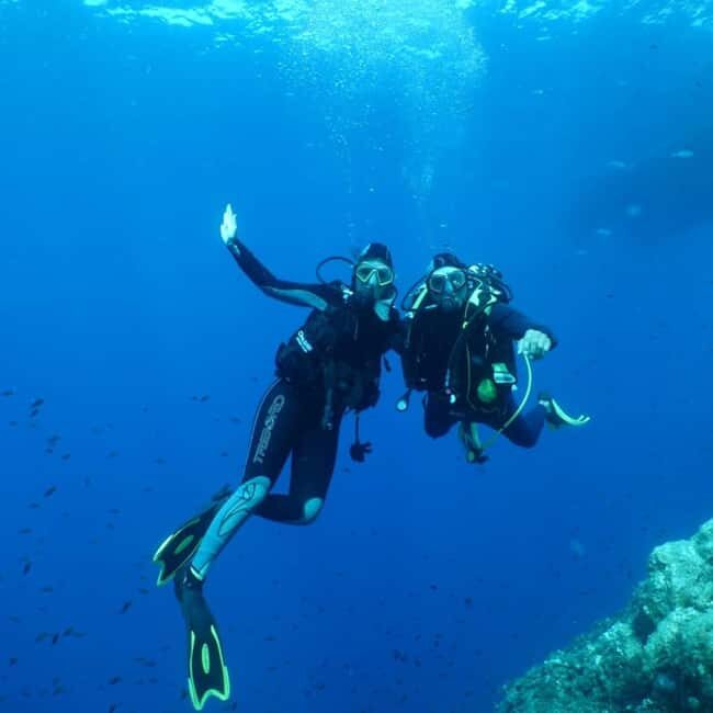 Fréjus: Diving Experience in Port-Fréjus with an Instructor - The Guides and Their Role