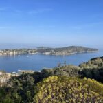 French Riviera from Nice to Cannes private tour - Analyzing the Experience: Is it Worth the Price?