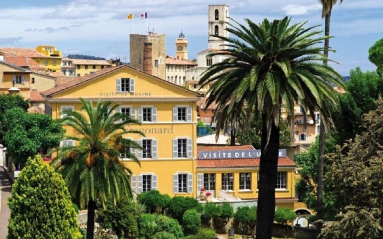 French Riviera & Medieval Villages Full-Day Private Tour - Transportation, Guides, and Group Size