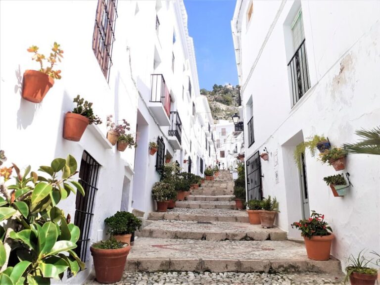 Frigiliana: Private walking tour - Who Will Love This Tour?