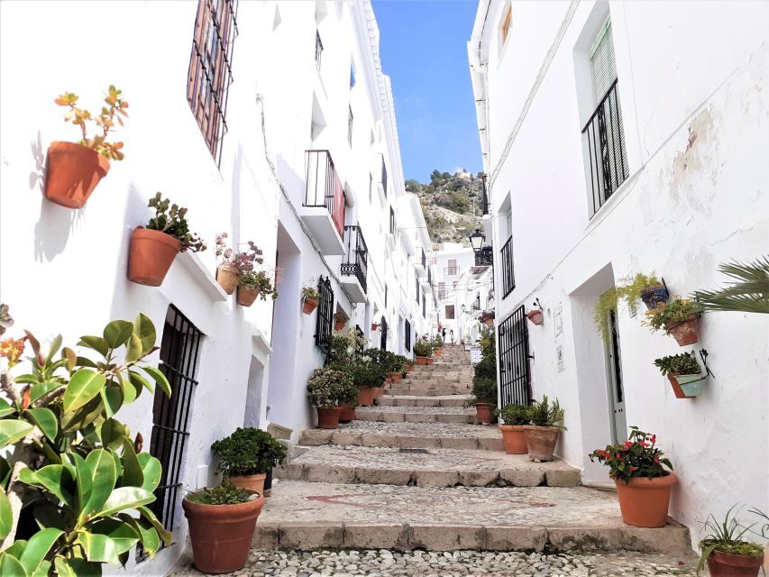 Frigiliana: Private walking tour - Who Will Love This Tour?
