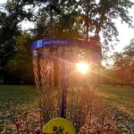 Frisbee golf / disc golf: Fun and games in a beautiful park in Leipzig - Who Is This Tour Best For?