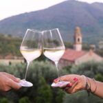 From Abano Montegrotto, Wine Tour in the Euganean Hills - Who Will Love This Tour?