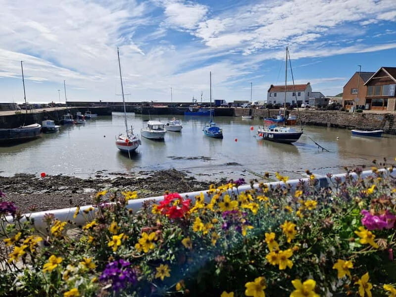 From Aberdeen: Guided Day Trip, Coast & Castle Visit - The Value of a Guided Small-Group Tour