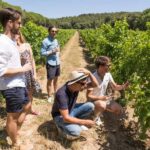 From Aix en Provence: Bandol & Cassis Full-day Wine Tour - Final Thoughts