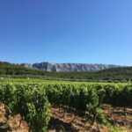 From Aix en Provence: Half-day Wine Tour in Provence - Analyzing the Value