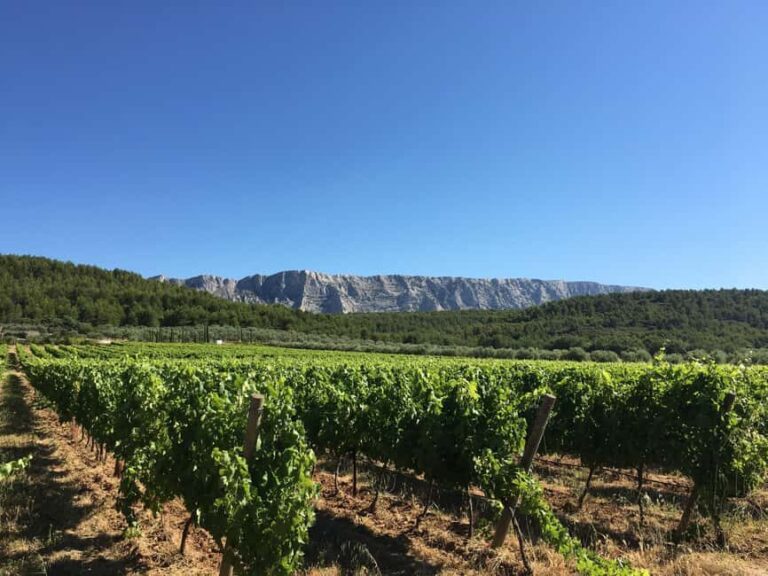 From Aix en Provence: Half-day Wine Tour in Provence - Analyzing the Value