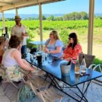 From Aix-en-Provence: Wine Tasting at Sainte-Victoire - A Closer Look at the Experience