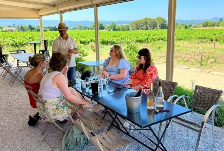 From Aix-en-Provence: Wine Tasting at Sainte-Victoire - A Closer Look at the Experience