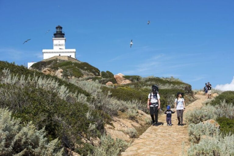 From Ajaccio/Porticcio:Ajaccio & Sanguinaires Gulf Boat Tour - Practical Tips for Enjoying the Tour