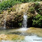 From Albir, Altea, Benidorm & Calpe: Guadalest & Algar Tour - Final Thoughts