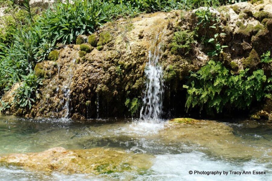 From Albir, Altea, Benidorm & Calpe: Guadalest & Algar Tour - Final Thoughts