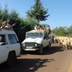 From Albufeira: 4x4 Off-Road Safari & Vineyard Wine Tasting - The Real Value for Travelers