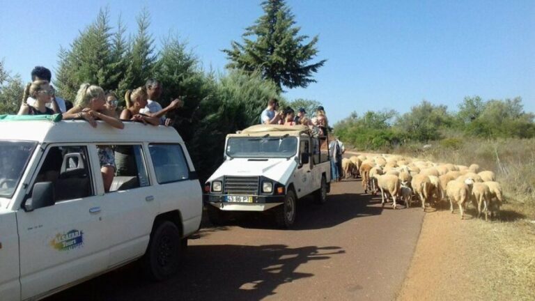 From Albufeira: 4x4 Off-Road Safari & Vineyard Wine Tasting - The Real Value for Travelers