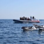 From Albufeira: Benagil Caves and Dolphins Guided Boat Tour - The Guides and Their Role in Making the Trip Special