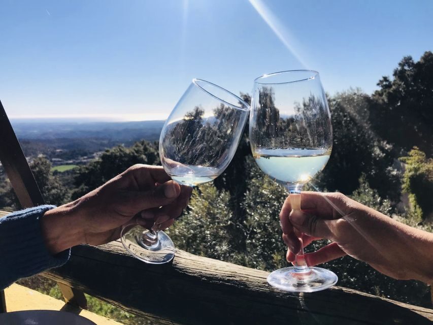 From Albufeira: Half-Day Winery Tour and Silves - The Experience in Context: Why It Works