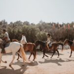 From Albufeira: Horse Riding Tour with Pickup - The Value & Pricing