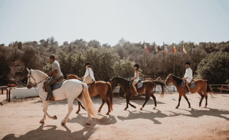 From Albufeira: Horse Riding Tour with Pickup - The Value & Pricing