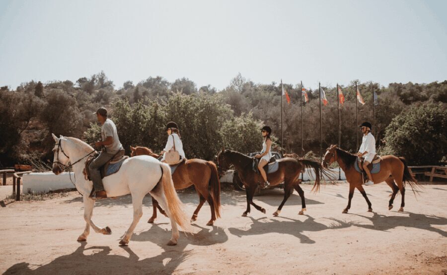 From Albufeira: Horse Riding Tour with Pickup - The Value & Pricing