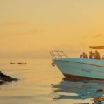 From Alcudia: Sunrise Dolphin Watching Boat Tour - What Makes This Tour Stand Out?