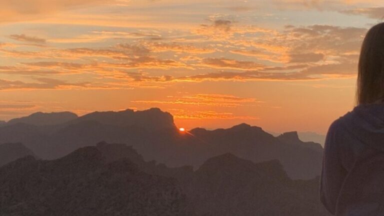 From Alcudia: Sunset Formentor Tour with Cava - The Value of This Experience