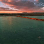 From Alicante/Benidorm: Tabarca Island & Santa Pola Salinas - Why This Tour Works Well