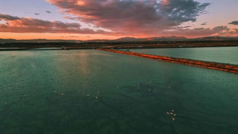 From Alicante/Benidorm: Tabarca Island & Santa Pola Salinas - Why This Tour Works Well