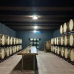 From Alicante ,Benidorm: Winery Tour and Wine Tasting - What to Expect and Practical Tips