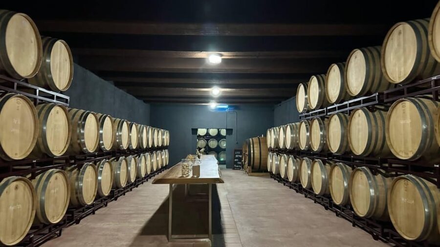 From Alicante ,Benidorm: Winery Tour and Wine Tasting - What to Expect and Practical Tips