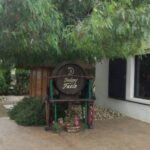 From Alicante: Best Winery Tour and Wine Tasting - Who Is This Tour Best For?