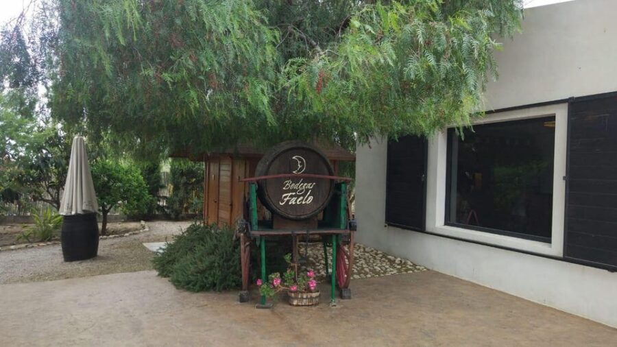 From Alicante: Best Winery Tour and Wine Tasting - Who Is This Tour Best For?