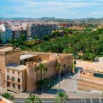 From Alicante: Elche Half-Day of Palms, History & Heritage - Who Is This Tour Best For?